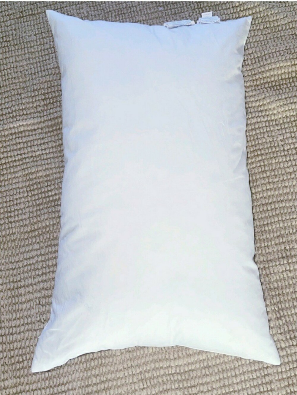 Pottery Barn Waterfowl Feather Pillow Insert 26"×16" White